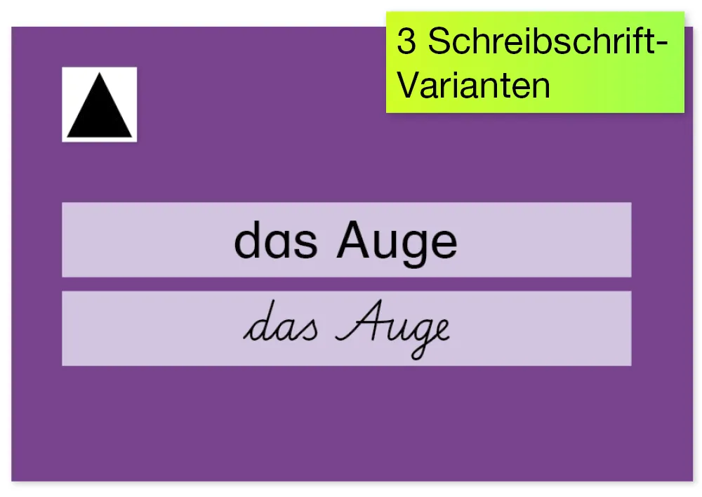 Karteikarten A8 "Meine Wörter-Schatztruhe" - Grundwortschatz LPPlus, 320-tlg.